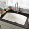 Farmhouse Quartet Kitchen Sink